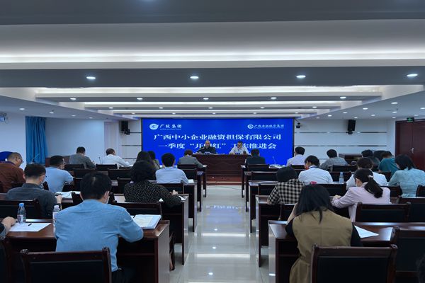 中小擔(dān)保召開一季度“開門紅”工作推進(jìn)會